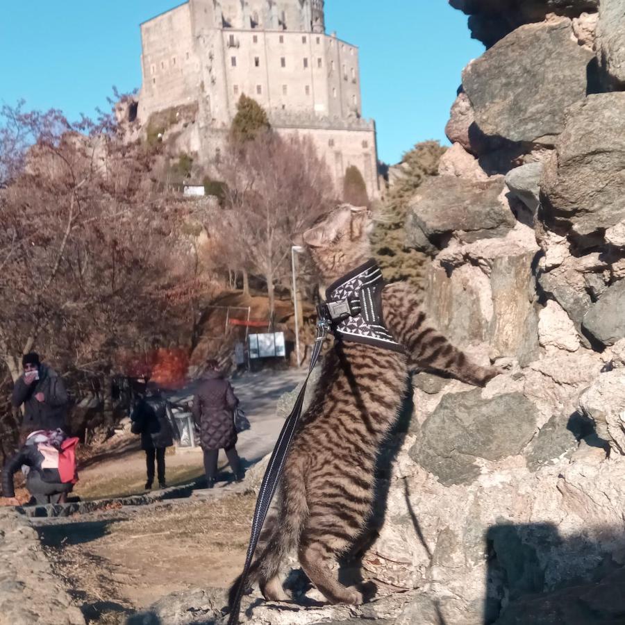 Casa Del Rustico, Indipendente Vista Sacra Con Dipinto Villa Caprie Kültér fotó